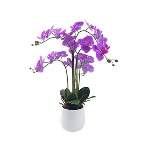 Orchidee im Keramiktopf lila H62cm