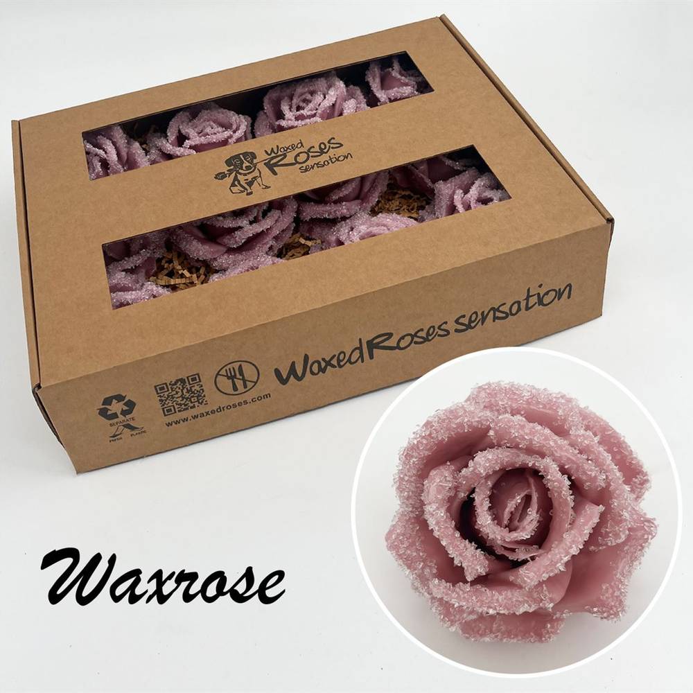 Seiden Wachs Rose eisig alt rosa