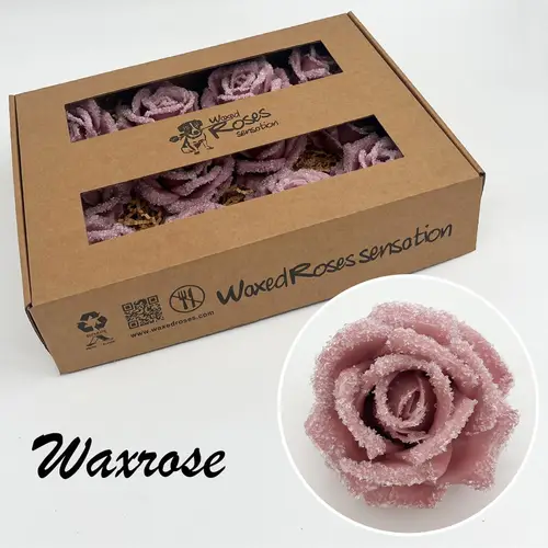 Seiden Wachs Rose eisig alt rosa