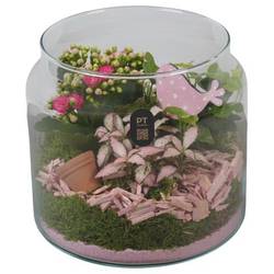 Kal.Arr PTIG2623 T19 H019