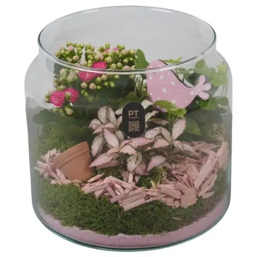 Kal.Arr PTIG2623 T19 H019