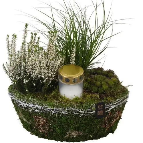Garten.Arr PTAH3069 Allerheiligen T30 H034