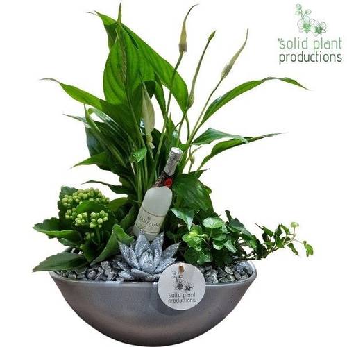 Spath.Arr SE005 Silver Silvester T18 H040