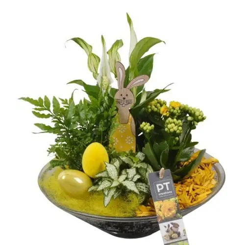 Spath.Arr PTPG9416 Ostern T26 H031