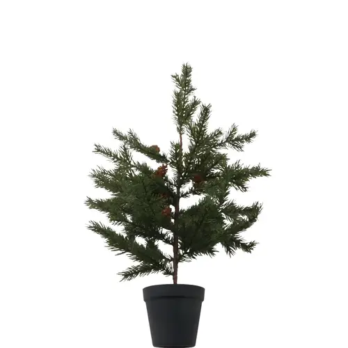 Tannenbaum im Topf grün H60cm