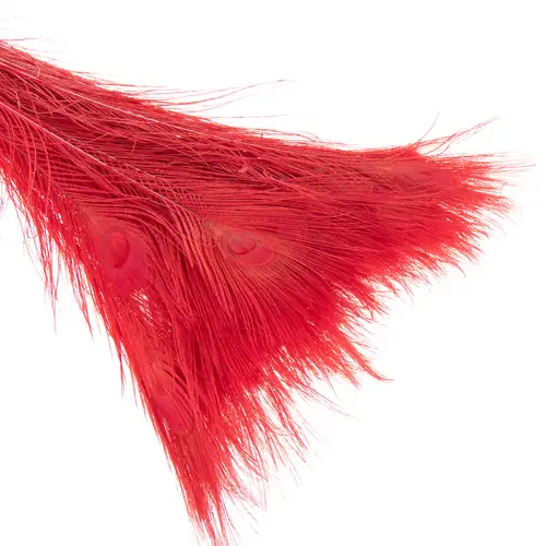 Pfauenfeder rot 90