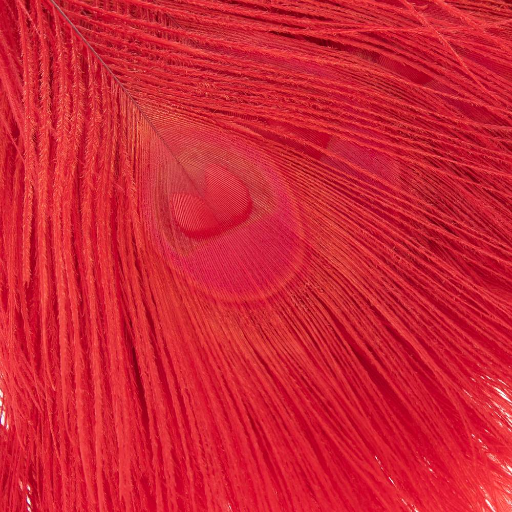 Pfauenfeder rot 90