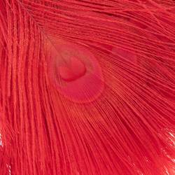 Pfauenfeder rot 90