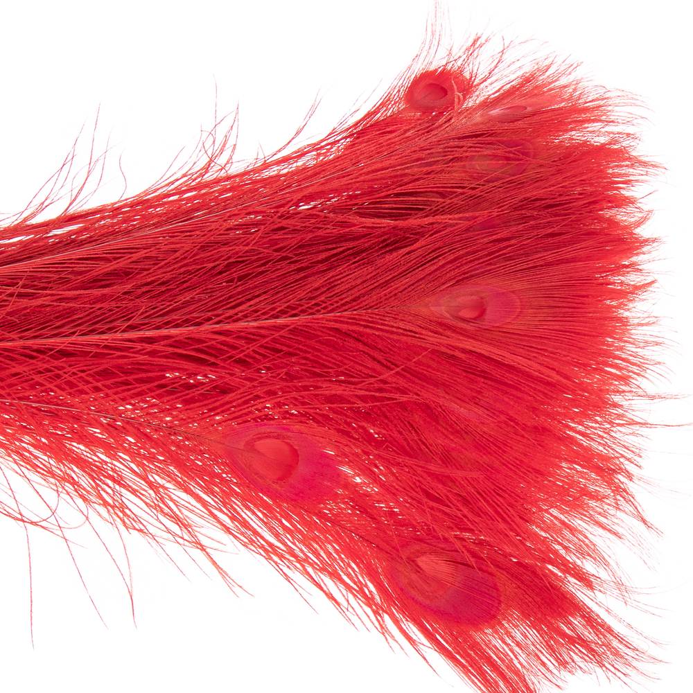 Pfauenfeder rot 90