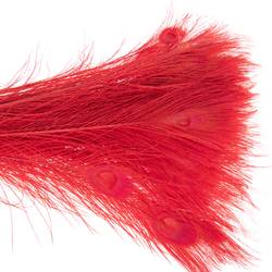 Pfauenfeder rot 90