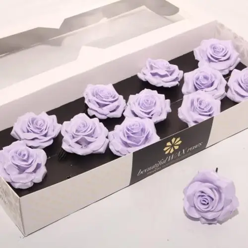Seiden Wachs Rose milka D10cm (9372)