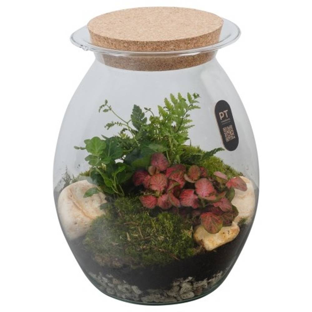 Flor.Arr PTTER8142 T22 H028