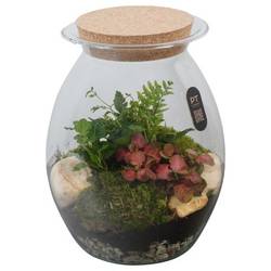 Flor.Arr PTTER8142 T22 H028