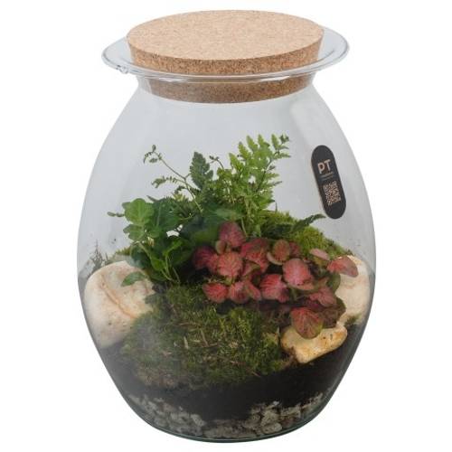Flor.Arr PTTER8142 T22 H028