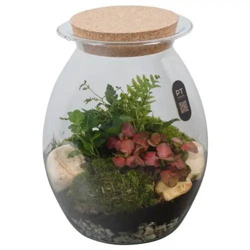 Flor.Arr PTTER8142 T22 H028