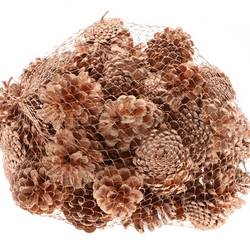 Trocken Pinea kupfer 1kg