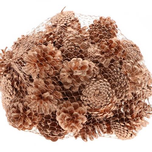 Trocken Pinea kupfer 1kg