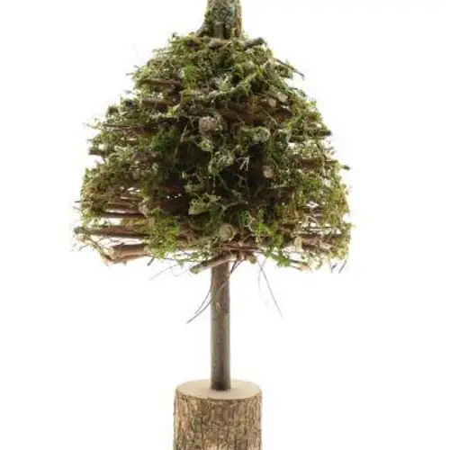 Baum Strava D25cm H50cm