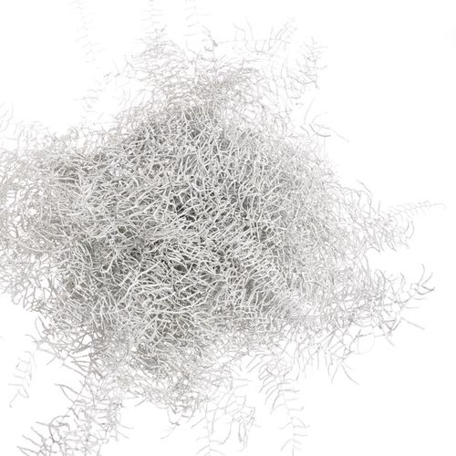 Coralfarn Gef.weiss
