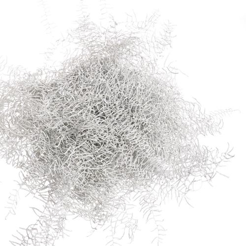 Coralfarn Gef.weiss