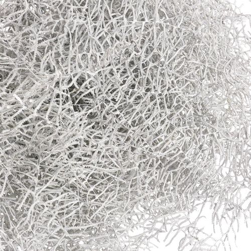 Coralfarn Gef.weiss