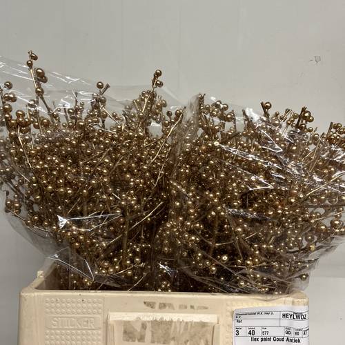 Ilex antik gold gefarbt 60cm