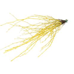 Trocken Zweig Birke gelb L70cm