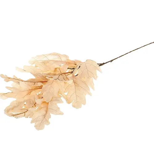 Seiden Quercusblatt creme L105cm