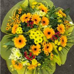 Strauß gelb mix Germini 18 Stiele 45cm