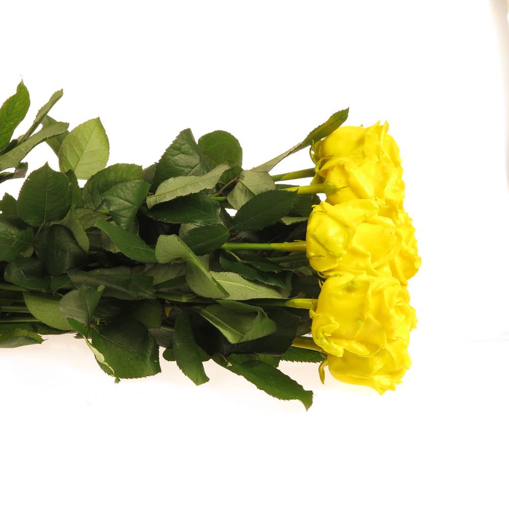 Rose gelb Wachs (W19) 70cm