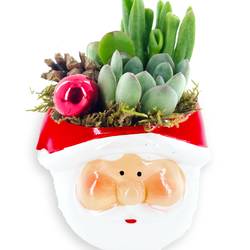 Succ.Arr im Weihnachtsmann Topf T09