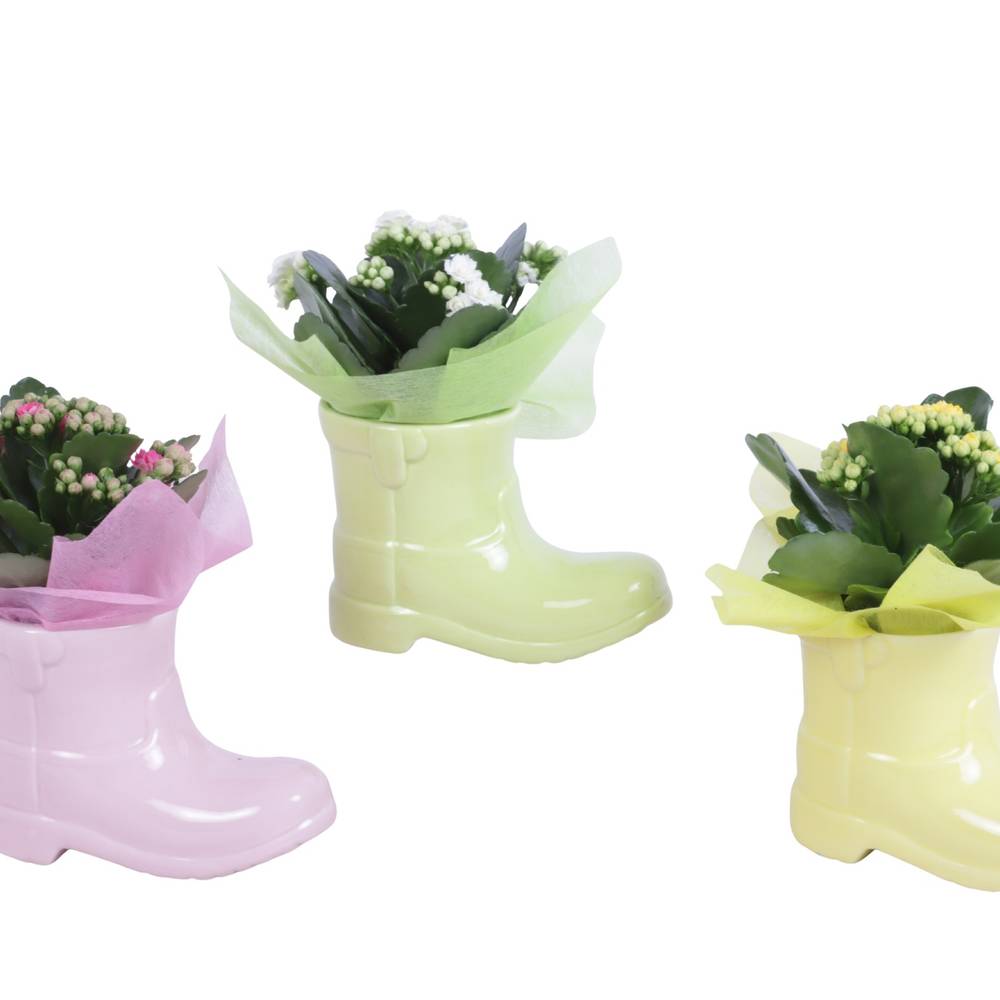 Kal.Arr mix ES615K0688 T15 H020