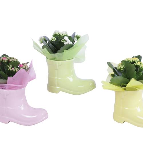 Kal.Arr mix ES615K0688 T15 H020