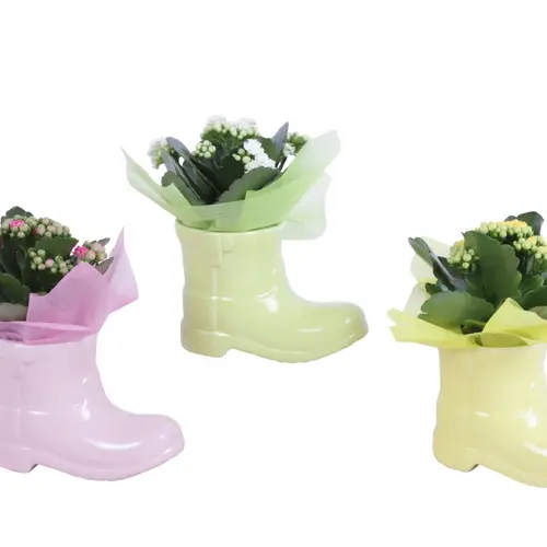 Kal.Arr mix ES615K0688 T15 H020