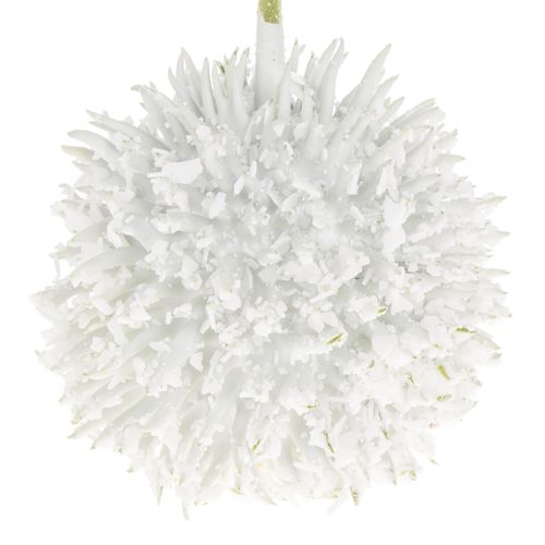 Igel weiss Schnee Wachs D6cm