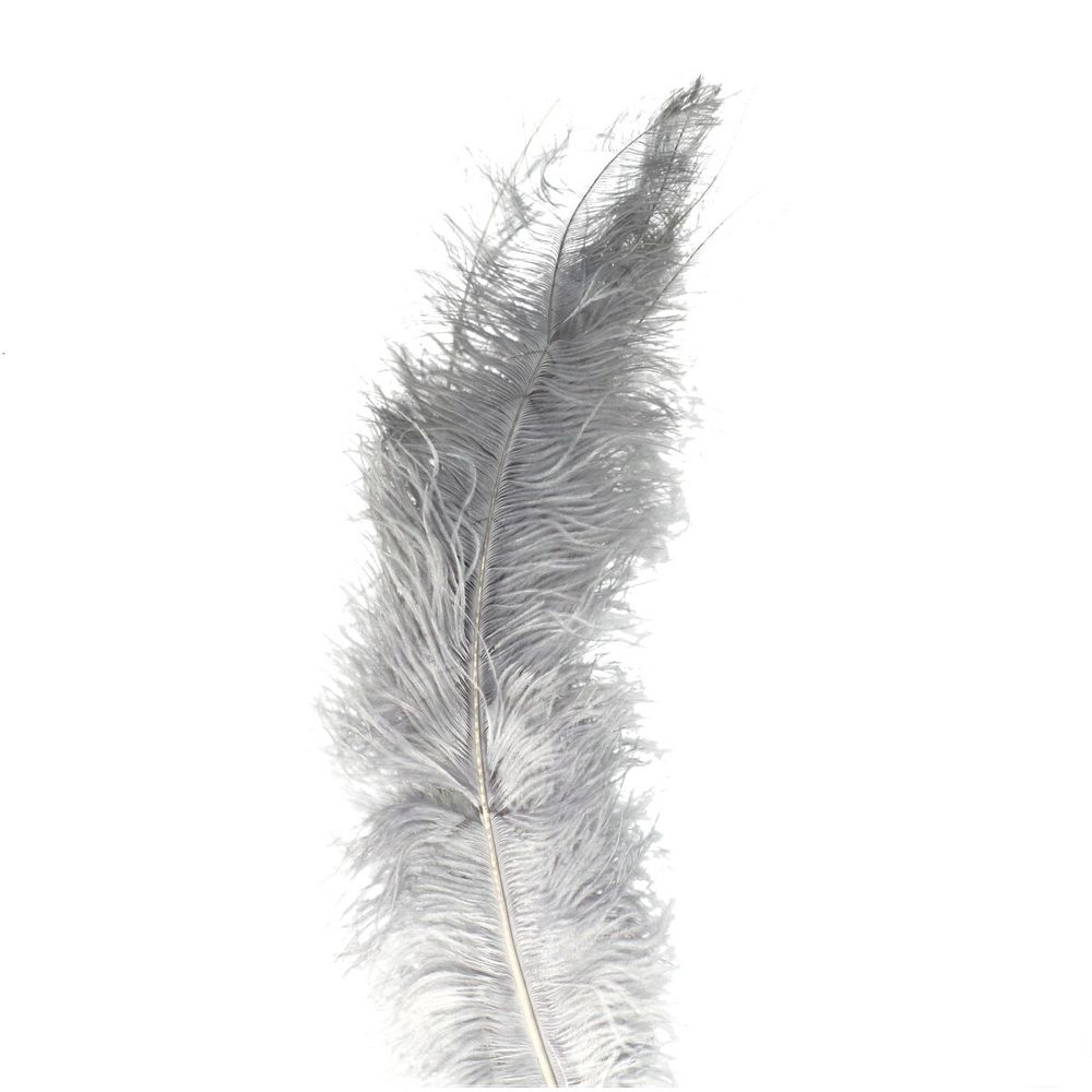 Straussenfedern grau L55cm x5