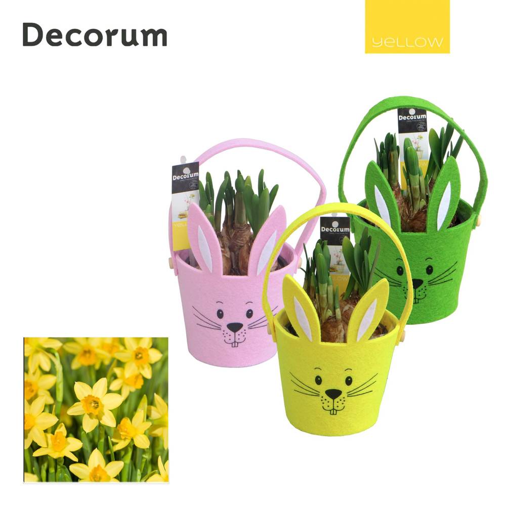 Narzis.Arr mix Filz HL19995 Ostern T11 H019