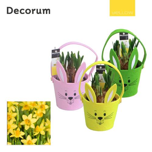 Narzis.Arr mix Filz HL19995 Ostern T11 H019