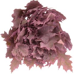 Eichenlaub cerise gefärbt 80cm