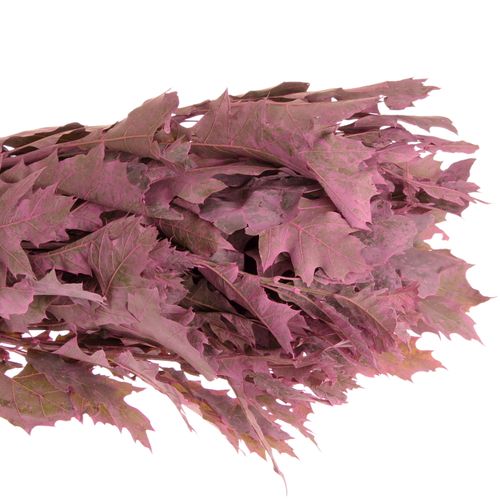 Eichenlaub cerise gefärbt 80cm