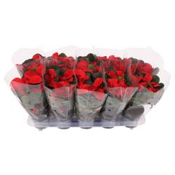 Poinsettia rot Christmas Mouse T10,5 H025