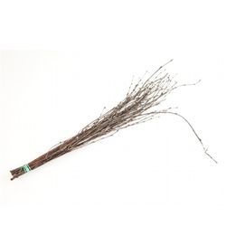Birke Natur L60cm x10