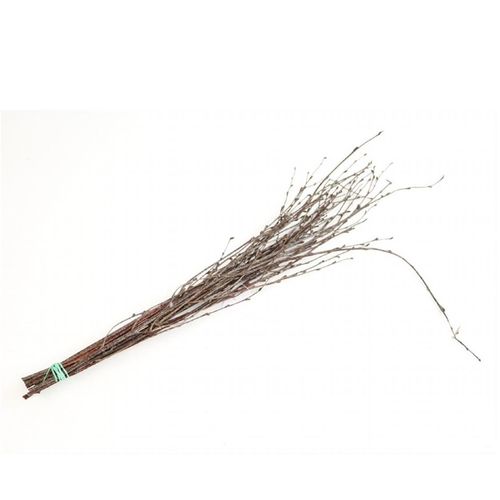 Birke Natur L60cm x10