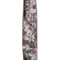 Cymbidium blau Bubblegum gefärbt80cm13+Blüte