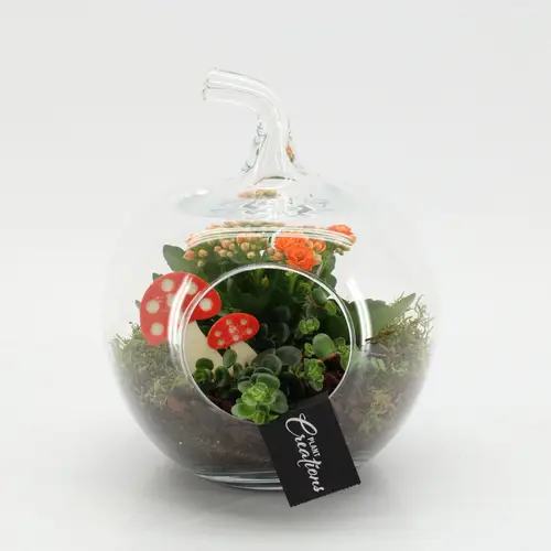 Kal.Arr-2534 Herbst T20 H024