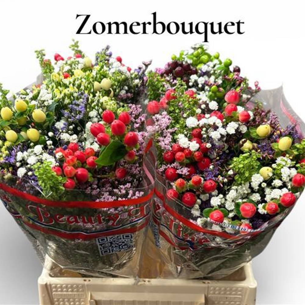 Strauss Limon/Hyp/Schle  40cm