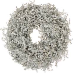 Kranz Asparagus Wachs weiss D25cm