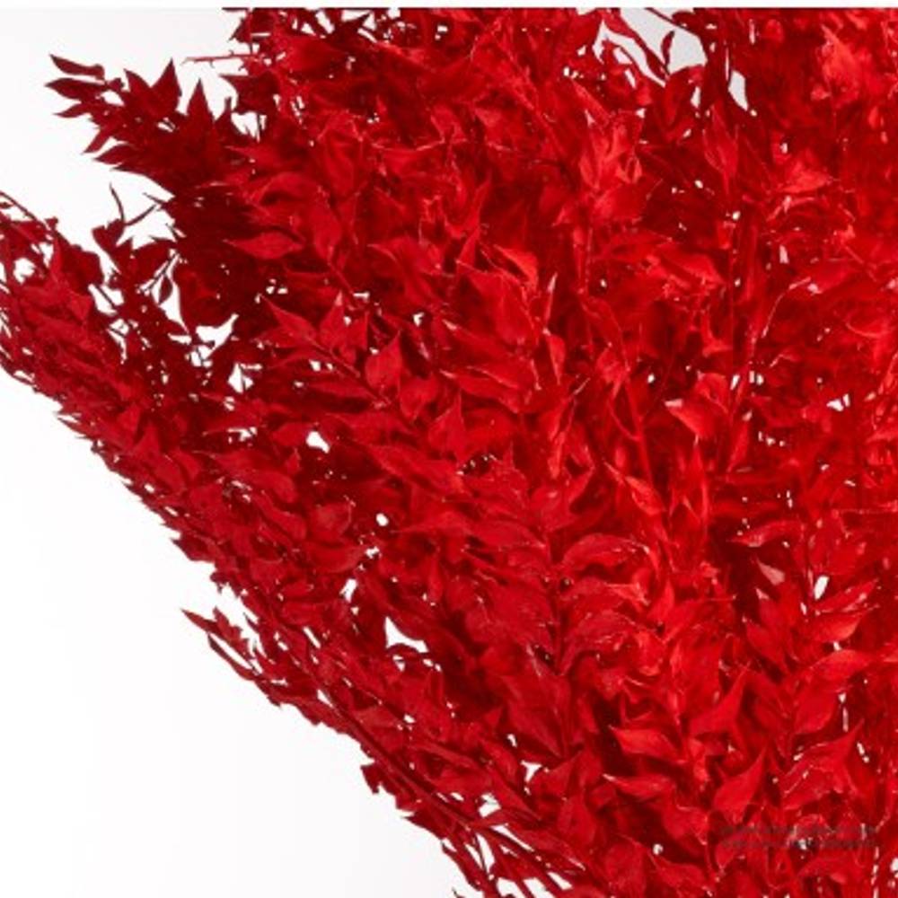 Wilder Ruskus rot gebleicht 70cm