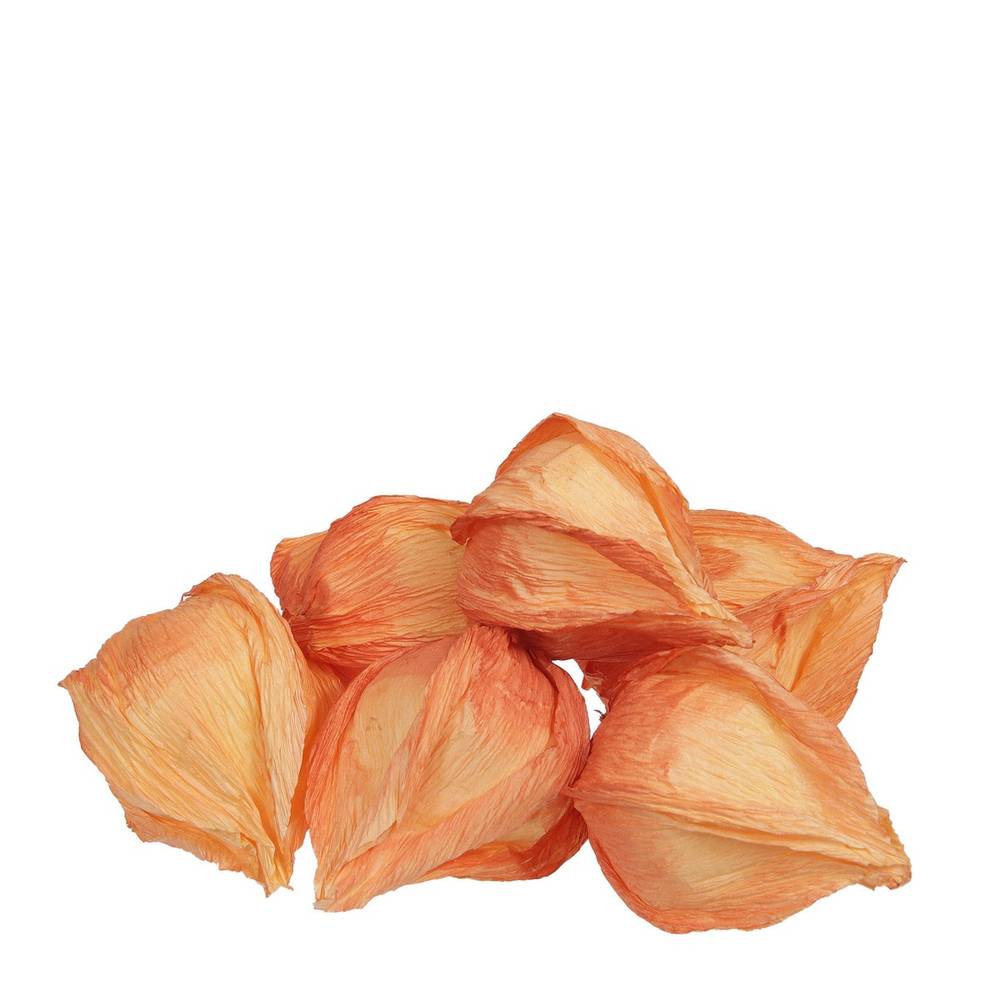 Deko Physalis orange 05cm x24