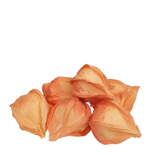 Deko Physalis orange 05cm x24